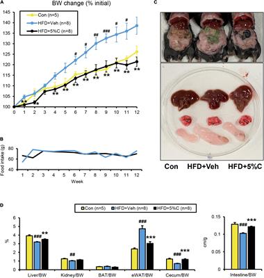 Frontiers Acidic Activated Charcoal Prevents Obesity and Insulin